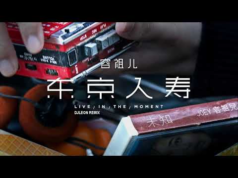 容祖兒 Joey Yung《東京人壽》(Live In The Moment) (djleonREMIX)