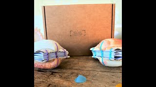 Make your Own Scallop Shell Book with Netties Shells