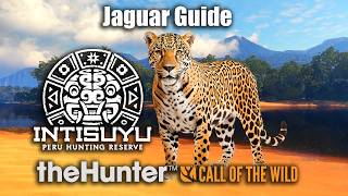 Jaguar Guide At Peru - Intisuyu - theHunter Call Of The Wild.