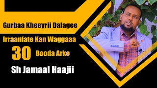 Download Lagu Gurbaa Kheeyrii Dalagee Irraanfate Kan Waggaa 30 Booda Arke! MP3
