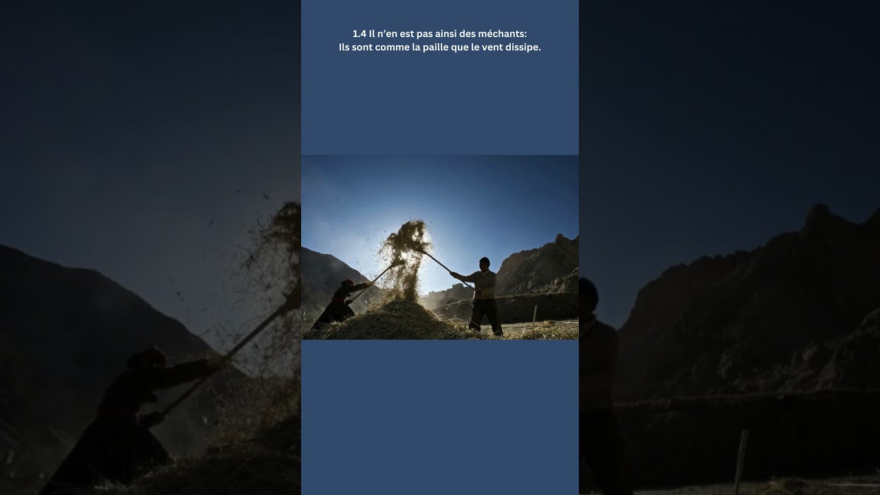 Psaumes 1 | Deux hommes, deux voies, deux destinées