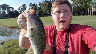 'I have a good feeling about this one' | Summer Wacky Rig Fishing by Team Wagy 258 views 4 years ago 9 minutes, 4 seconds