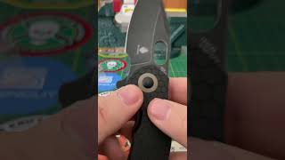 Bug of The Day: Kizer Mini Roach