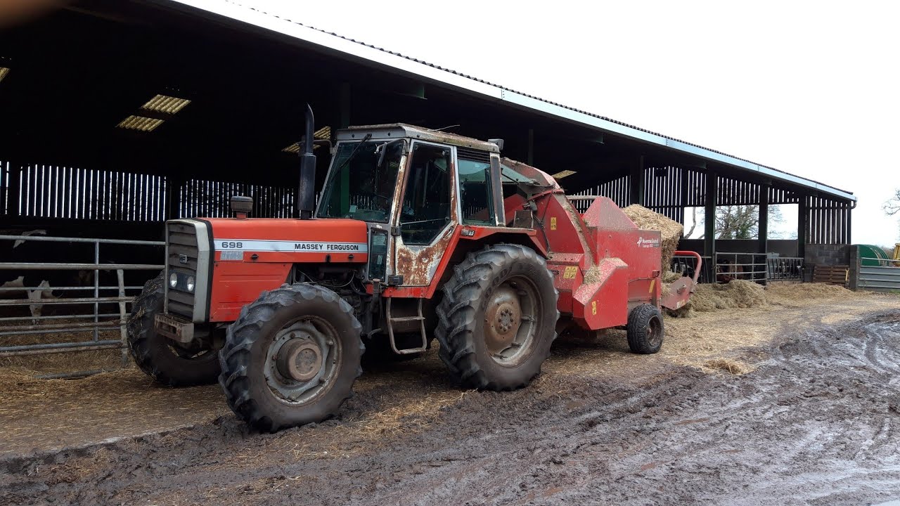 Afternoon jobs, feeding and bedding cattle. YouTube