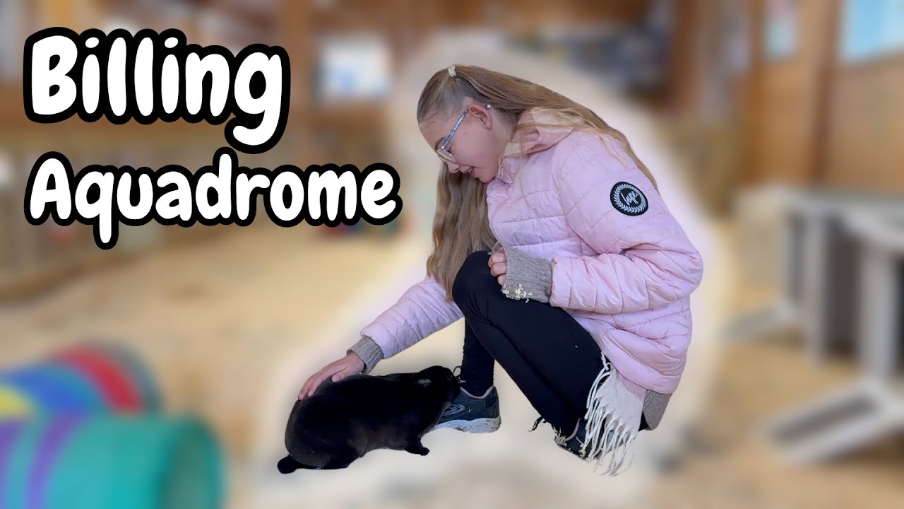 Cutest Bunny Café Ever! 🐰💖 | Day 3 at Billing Aquadrome