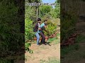 🤨lugai par mt jana ..🤨#lugai #funny #comedy🤣🤣🤣 #gav #farming #kisan #pani #gav 🤣🤣