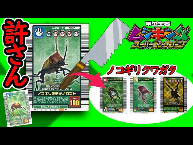 対戦】“縦派”ノコギリタテヅノカブトさんは“横派”ノコギリクワガタが