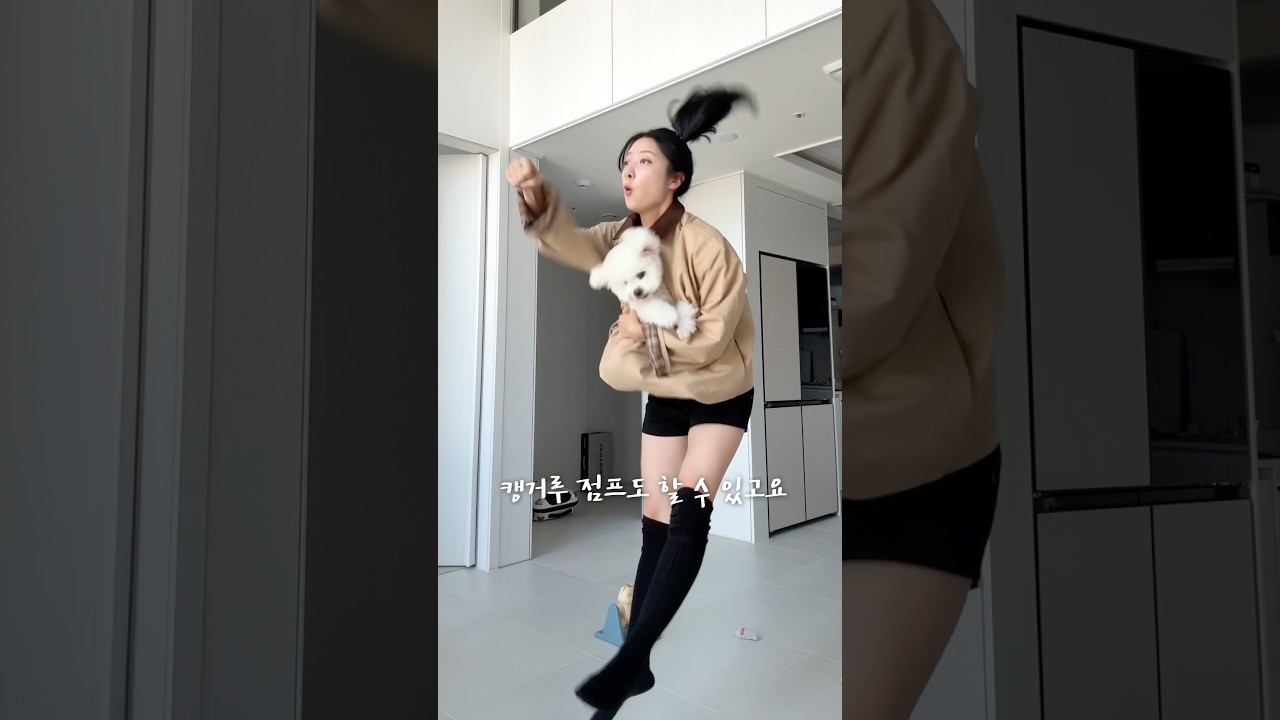 견주들을 위한 24만원짜리 티셔츠 ㄷㄷ