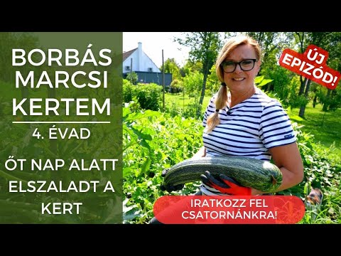 Borbás Marcsi: Kertem