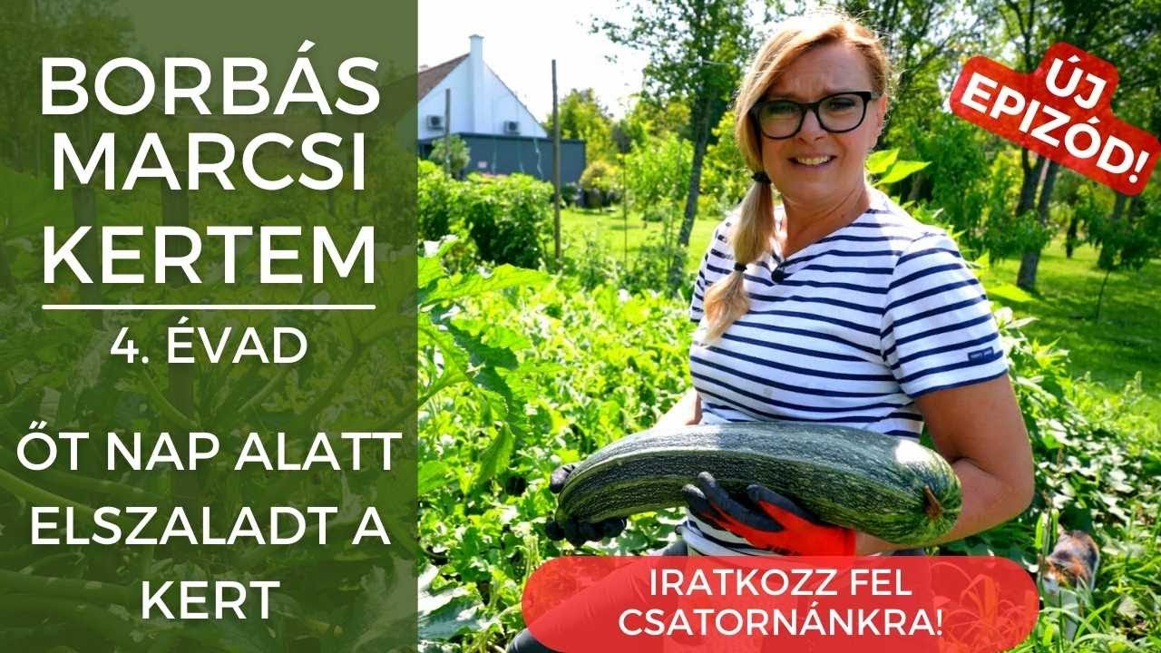 Borbás Marcsi: Kertem - Öt nap alatt elszaladt a kert