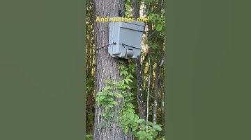 Interceptor Swarm Trap strikes again #swarm
