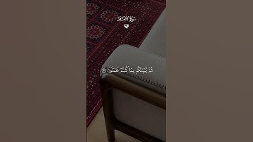 تلاوة خاشعة للشيخ ماهر المعيقلي 🤍🌿#قران_كريم #المصحف #راحة_نفسية