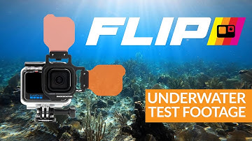 GoPro Hero 8 with FLIP | Underwater Video Test Footage