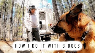 S1E13 How I Deal with 3 Dogs | FullTime Truck Camper Living