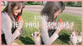 Luda X Banggu - A different kind of owner and pet