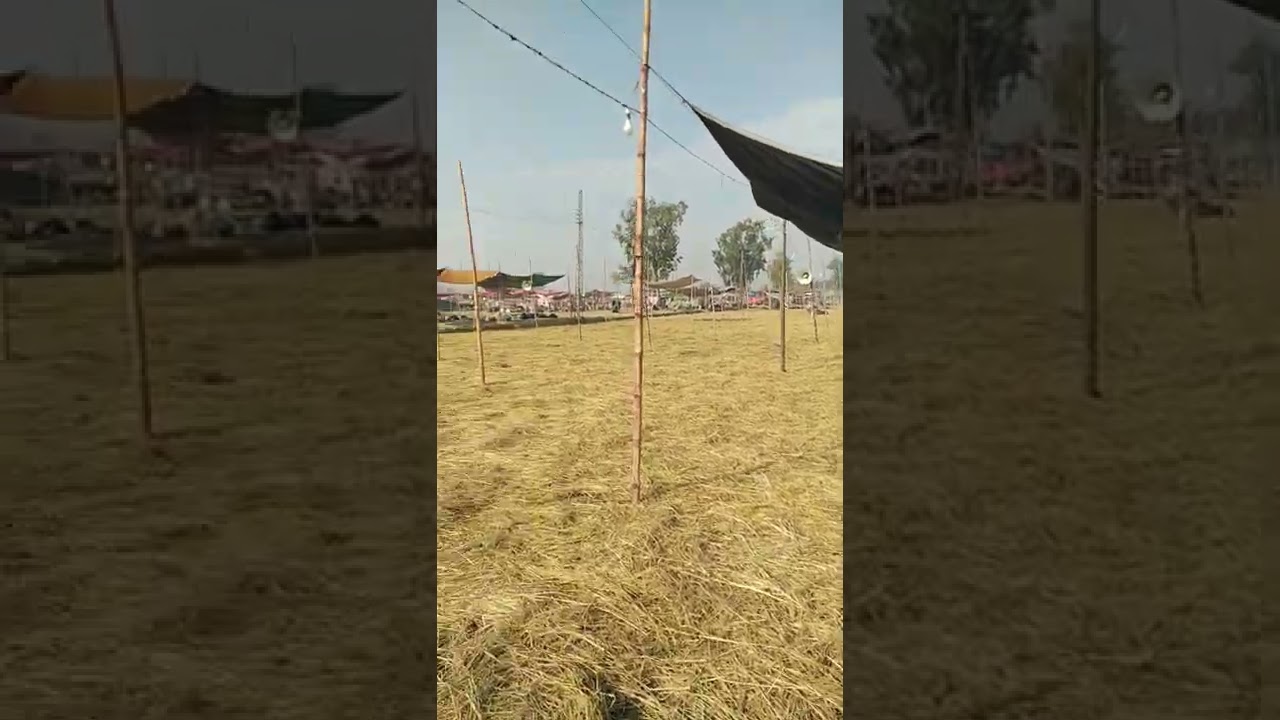 Masha Allah + 2022 jurr.