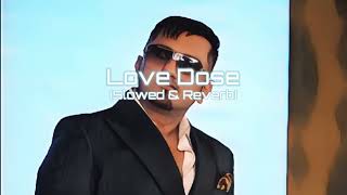 Love Dose [Slowed+Reverb] Yo Yo Honey Singh | Desi Kalakaar