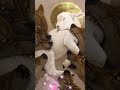 ШіЩ Ш Щ ЩЉЩ ШіЩЃ Ш Щ ШґЩЉШ Ш Ш Щ ШЇ Ш Щ Ш Щ ЩЉЩ в ҐпёЏрџЊ в ҐпёЏрџЊ в ҐпёЏрџЊ в ҐпёЏрџЊ ШіЩ Ш Щ ЩЉЩ ШіЩЃ Ш Щ ШґЩЉШ Ш Ш Щ ШЇ Ш Щ Ш Щ ЩЉЩ в ҐпёЏрџЊ в ҐпёЏрџЊ в ҐпёЏрџЊ в ҐпёЏрџЊ