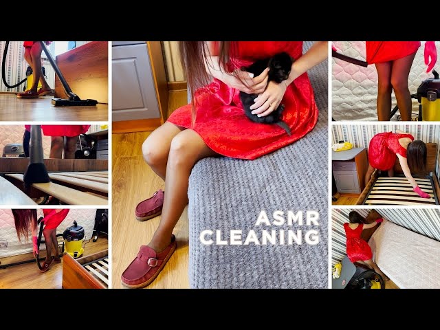 ASMR Deep Cleaning a Mini Living Room… and a Sleepy Black Kitten 🖤✨