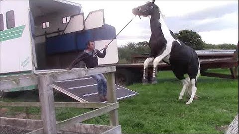 Trailer Loading Problems With Mike Hughes, Auburn California