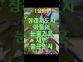 장례지도사 아들의 눈물겨운 새벽 인사 #노후사연 #오디오북 #감동실화
