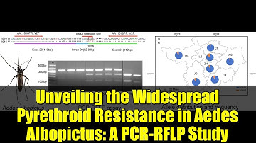 Unveiling the Widespread Pyrethroid Resistance in Aedes Albopictus: A PCR-RFLP Study