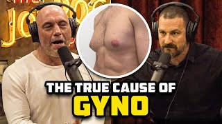 The TRUE Cause Of Gyno  Not Estrogen!?