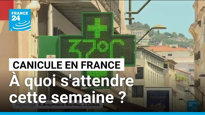 Canicule en France : à quoi s'attendre cette semaine ? • FRANCE 24