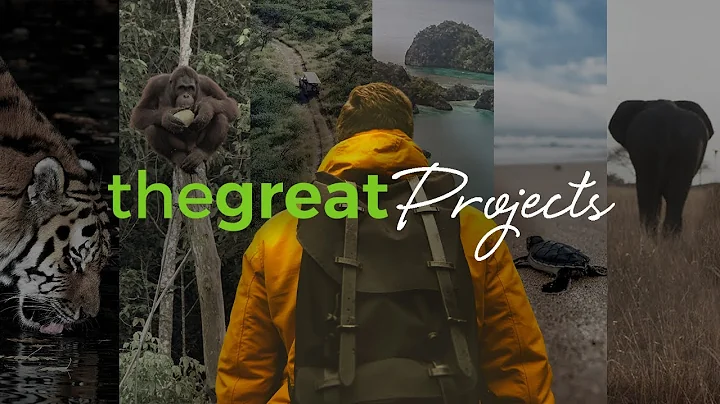 Volunteer Abroad with Animals | The Great Projects