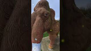 Ruta Incio-Tierra de Mamuts #bikelover #automobile #galicia #smartphone #moteros #motovlog #sarria