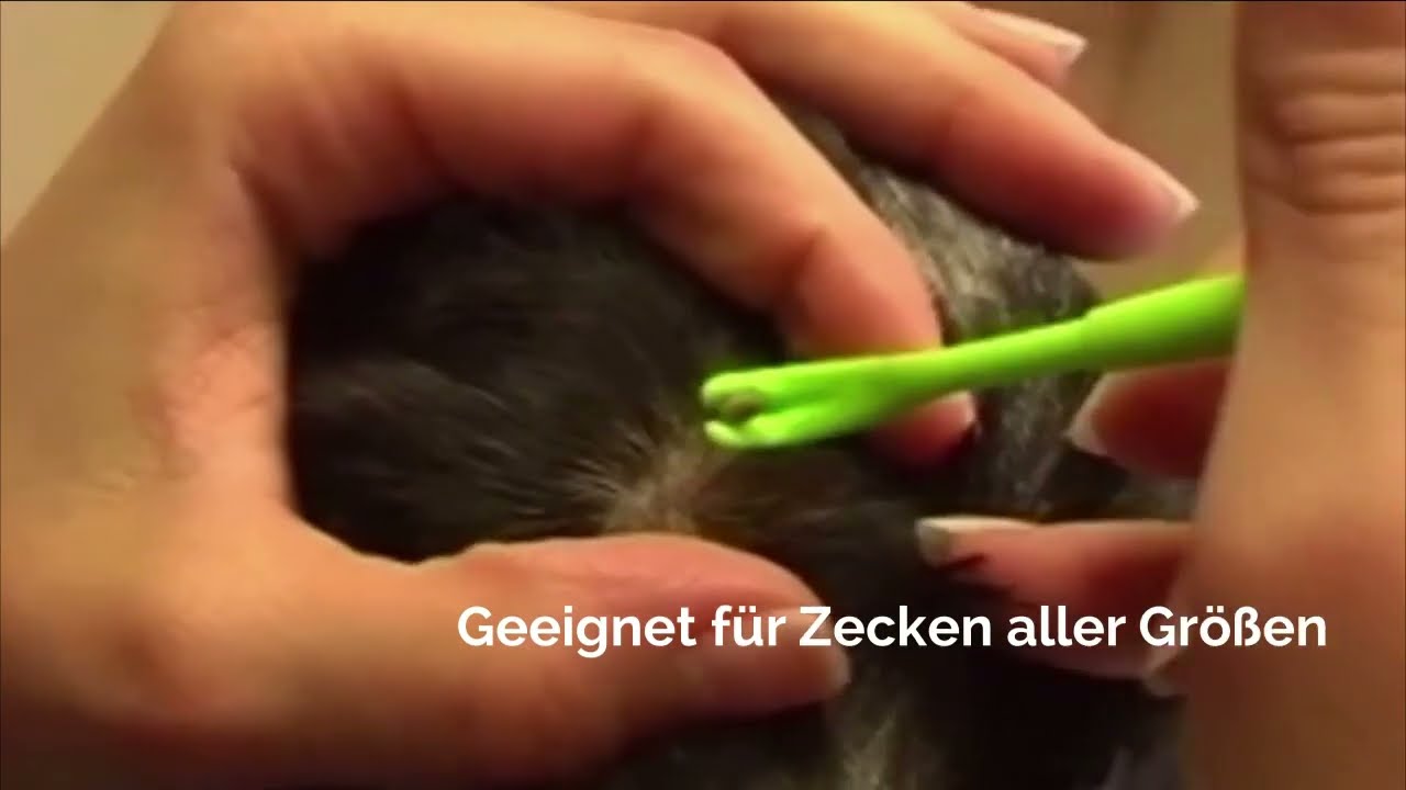 CLIP BOX, TICK TWISTER O'TOM