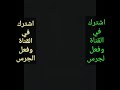 تحدي بين سامر المدني ضد حسن البرنس على التيك توك شوف مين الي كسب