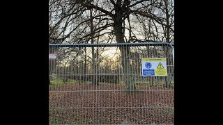 Tree Protection Fencing - what is it and why do I need it