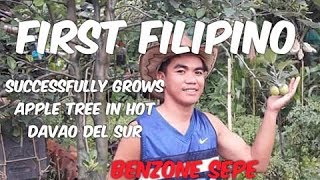 BENZONE SEPE, College student successfully grows apple tree in hot Davao del Sur