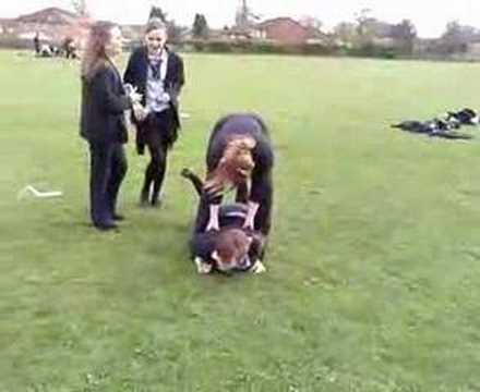 Tickling Schoolgirl