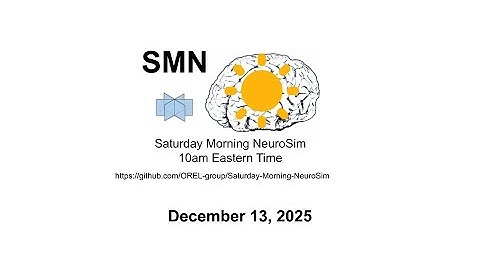 Saturday Morning NeuroSim, 12-13