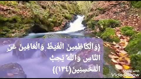 حالات واتساب قرآن كريم. الشيخ رضوان العبسي. والكاضمين الغيظ والعافين عن الناس.