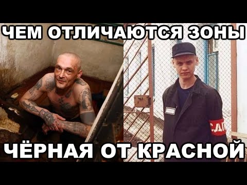 Чем отличается красная зона от черной