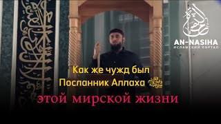 Как же чужд был Посланник Аллаха ﷺ этой мирской жизни...