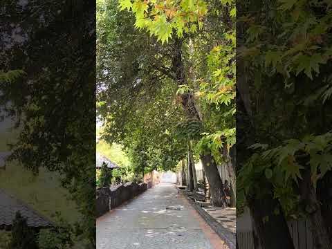  22 2024 پارک خلیج فارس در تهران محیط آرام