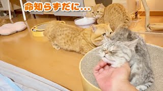 リラックス中のポッポちゃんに近づくという暴挙にでたぽちゃくん。