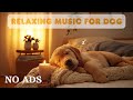 Deep Sleep Music for Dogs 🐶 Dog Anti Separation Anxiety Relief Music 🎵 Pet Music 🎵 Calming Music 💖