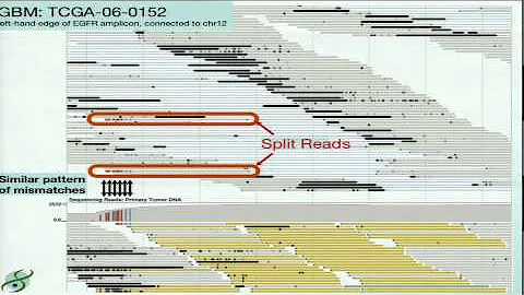 Large-Scale Cancer Genomics Data Analysis - David ...