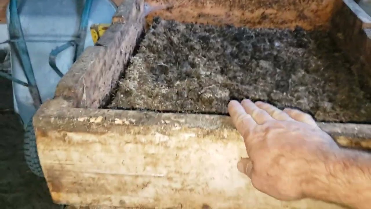 С разведением червей для рыбалки ВСЁ.