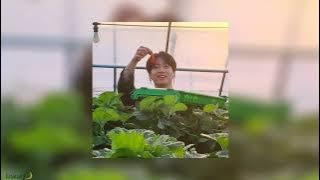 Someone to Stay- Vancouver Sleep Clinic (sped up)