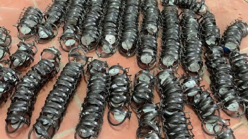 Cạm kiềng đánh chuột 9cm giá rẻ nhất tại đại lý chuyên cung cấp cạm .lh 0865 692 498.0943 609 983