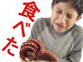 塩辛、妖怪ウォッチかまぼこ等、日本の食べ物を初めてトライしてみた！