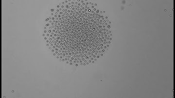 Beating heart dynamics via light-driven diffusioosmosis