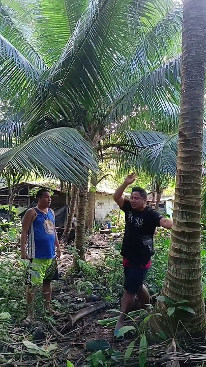 sa amen to #baysoktv #zanderpolsotinvlogs #funny #trending