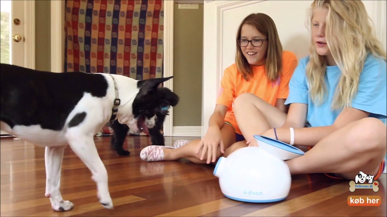 Apportkanon | Til Hunde - Kaster Op Til 12 m - YouTube